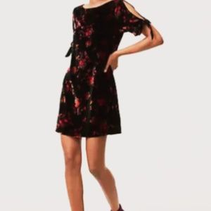 NWT Loft Fall Velvet Floral Dress